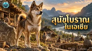 สุนัขโบราณ ในเอเชีย